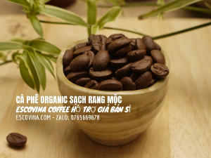 Cà phê hạt rang xay nguyên chất giá sỉ được hỗ trợ giá lâu dài