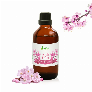 Tinh Dầu Anh Đào Leviter 100ml