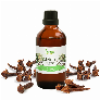 Tinh dầu Đinh Hương Leviter 100ml