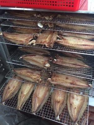 Máy sấy đa năng 16 khay