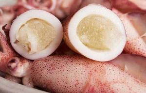 Mực trứng Bầu Thước