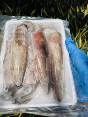 Mực ống 9-12 con: 500gram