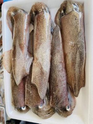 Mực ống 9-12 con: 500gram