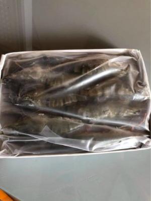 Tôm sú Minh phú mua 2 khay 15con gia ưu đãi sau