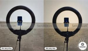 Đèn Led phun xăm livestream YG-18