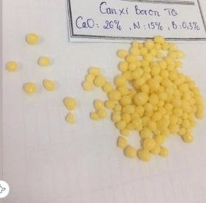 Phân bón Canxi Bo (Calcium Nitrat Boron) hạt vàng
