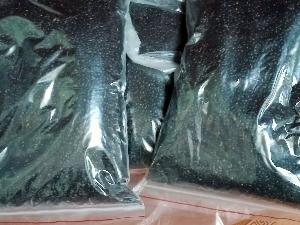 Hạt keo Tai tượng làm giống