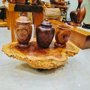 Cà te việt và cẩm chỉ