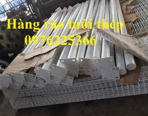 Xưởng sản xuất lưới sơn tĩnh điện D2, D3, D4, D5, D6