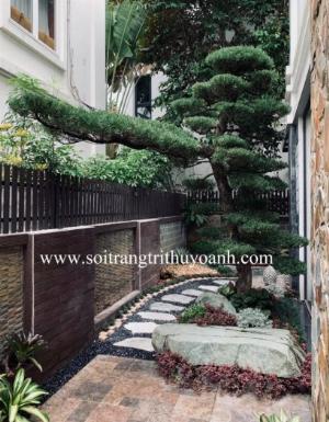 Sỏi đen bóng