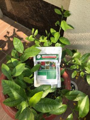 Phân bón Hữu Cơ Vi Sinh TP-E20