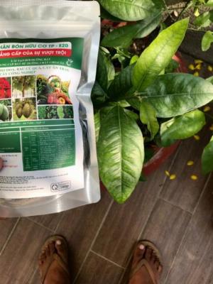 Phân bón Hữu Cơ Vi Sinh TP-E20