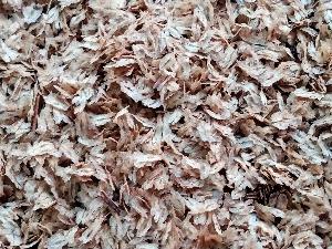 Bán hạt giống cây hông