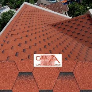 Ngói lợp nhà - Ngói Bitum CANA - Biên Dạng Tổ Ong