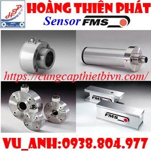 Thiết bị đo lực FMS