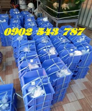 Chuyên cung cấp kệ dụng cụ size lớn