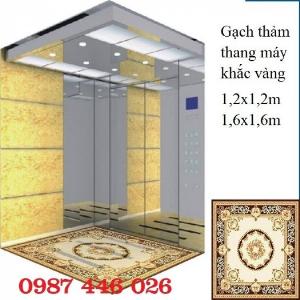 Gạch thảm chiếu nghỉ, gạch thang máy Hp1136