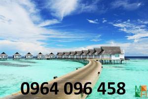 Tranh gạch 3d - gạch tranh 3d bờ biển cây dừa