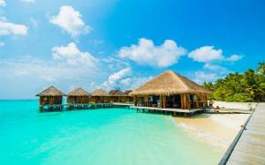 Tranh gạch 3d - gạch tranh 3d bờ biển cây dừa