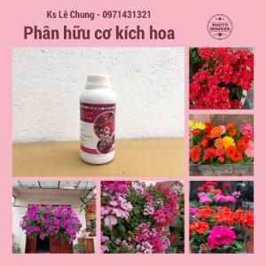 Phân bón kích hoa