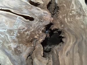 Phôi gỗ Me Tây B.21