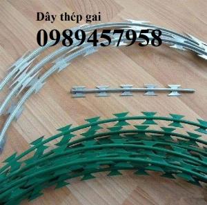 Bán dây thép gai hình dao, Dây thép gai hình tròn, Dây thép gai inox hình dao