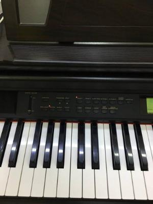 PIANO ĐIỆN CLP-711