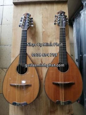 Địa chỉ bán đàn mandolin giá rẻ chất lượng nhất khu vực gò vấp tphcm