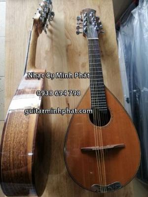 Địa chỉ bán đàn mandolin giá rẻ chất lượng nhất khu vực gò vấp tphcm