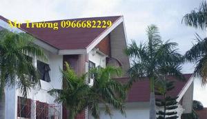 Tấm lợp sinh thái CNX nhập khẩu châu âu, tấm lợp chông nóng, tấm lợp chống ồn