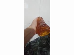 Mật ong hoa cà phê