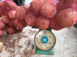 Vựa Dừa Bến Tre cung cấp dừa khô, tươi toàn quốc 0935761797 (Phúc)