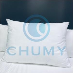 Gối Khách Sạn 5 Sao - Kích thước gối 60 x 80 cm
