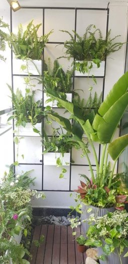 Trang trí thi công tiểu cảnh Ban công