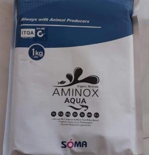 Phân phối khoáng hữu cơ Aminox Aqua