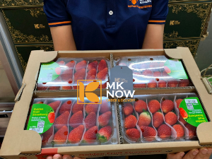 Mua dâu tây Hàn Quốc ở dâu TPHCM - Đến ngay MKnow.vn - 0373 600 600