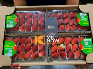 Giá dâu tây nhập khẩu Hàn Quốc - Gọi ngay: 0373 600 600 (Zalo) - MKnow.vn