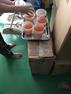 Nấm đông trùng hạ thảo tươi hộp 200g