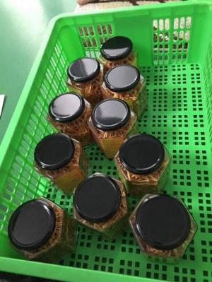 Đông trùng hạ thảo HANVIWON sấy thăng hoa lọ 10g