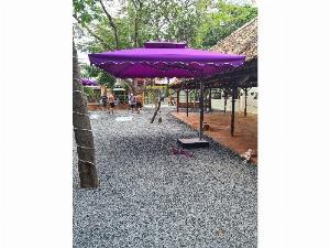 Dù vuông cafe lớn 3 mét màu tím giá rẻ n