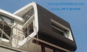 Tấm lợp bitum giả đá nhập khẩu, ngói btm shingles, ngói giấy dầu