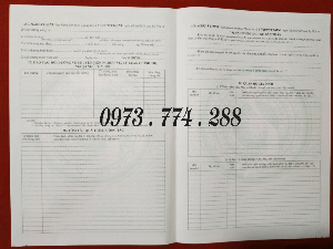 Mẫu HS02-VC/BNV 2019