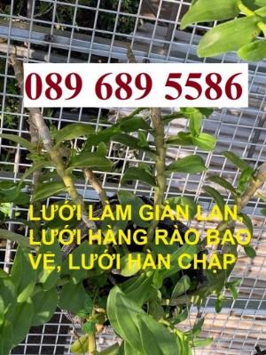 Lưới thép làm giàn phong lan, Lưới thép hàn mạ kẽm phi 4, phi 5 - dạng tấm và cuộn
