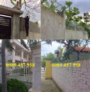 Dây thép gai vòng tròn, Dây thép gai hình dao mầu xanh, Dây thép gai mạ kẽm