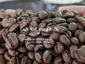 Cà phê rang mộc cung cấp giá tốt thị trường Hồ Chí Minh