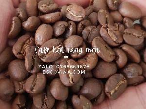 Cà phê rang mộc cung cấp giá tốt thị trường Hồ Chí Minh