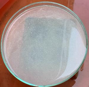 Calci milk khoáng bổ sung giúp tôm lột xác nhanh, chống cong thân