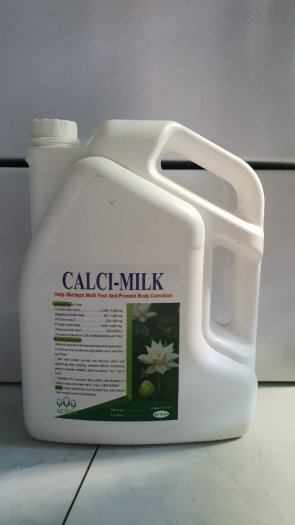 Calci milk khoáng bổ sung giúp tôm lột xác nhanh, chống cong thân