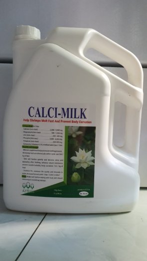 Calci milk khoáng bổ sung giúp tôm lột xác nhanh, chống cong thân