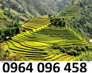 Tranh ruộng bậc thang - gạch tranh 3d - KD33